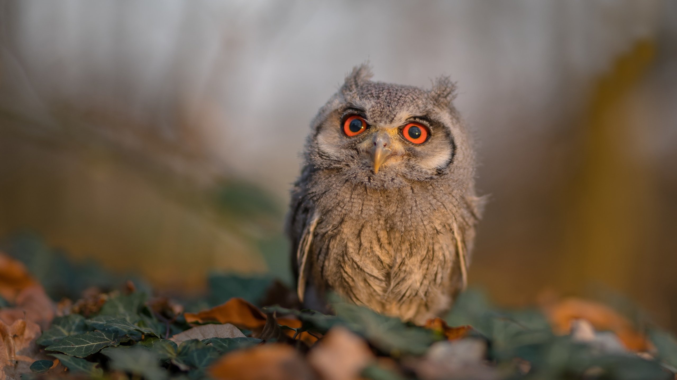 “逆天逆转!最后两局实现惊天逆袭,比赛瞬间燃爆”,最强逆转